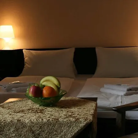 Bayer Hotel Plzen