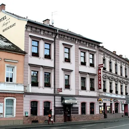 Bayer Plzen